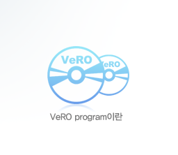 VeRO program이란