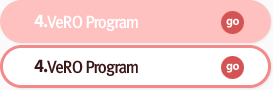 4.VeRO Program